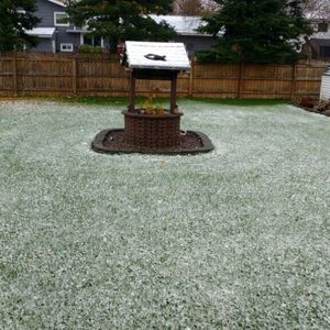 Meet your Posher, Lucy